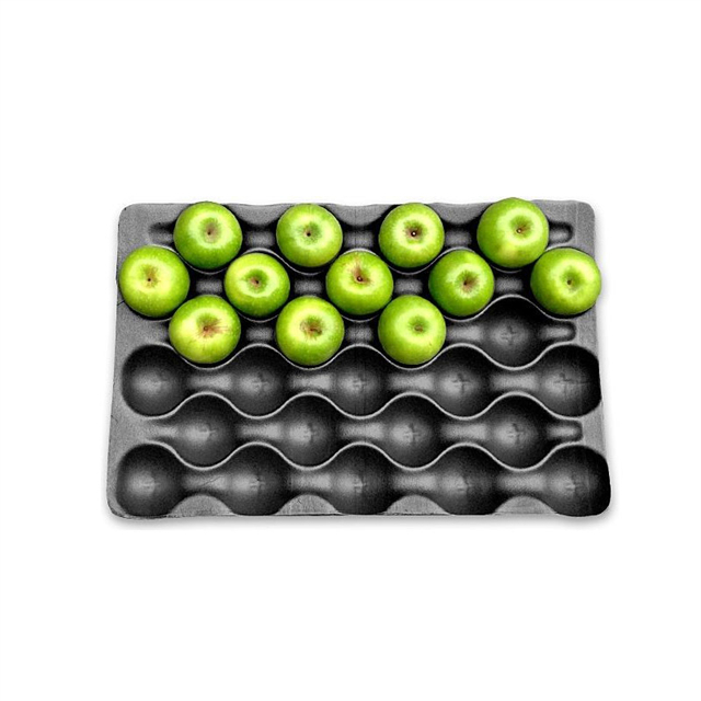 Plateau de pulpe de fruits pressés à sec noir en gros