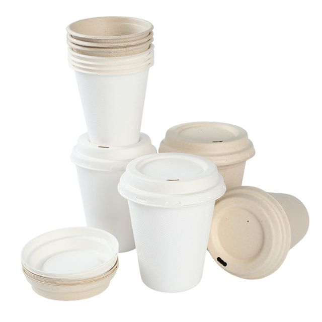 Gobelets en papier moulés biodégradables avec couvercles en gros