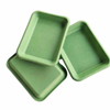 Plateaux de pulpe moulés verts personnalisés