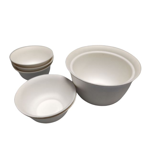 Ensemble de tasses à thé en pulpe pressée humide en gros